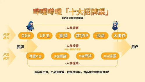 嗶哩嗶哩（B站）食品飲料行業(yè)廣告投放與營(yíng)銷(xiāo)推廣策略深度分析及代理合作前景